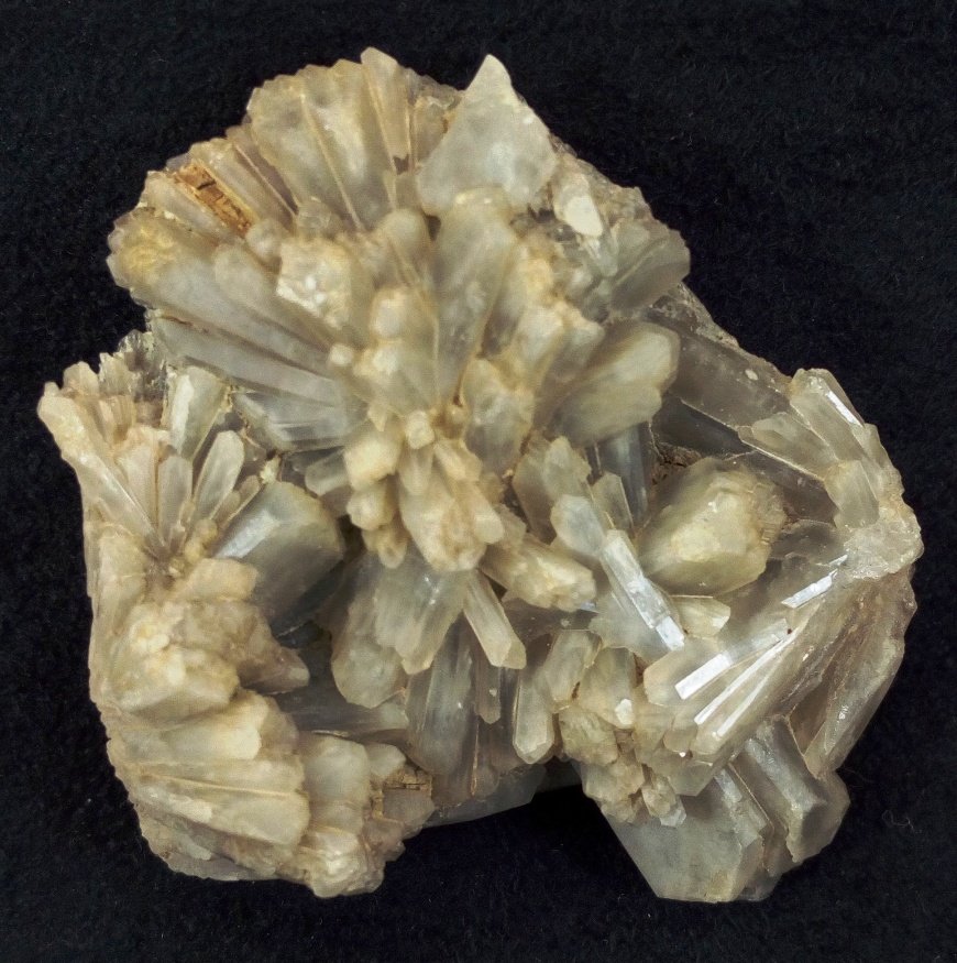 Celestina
40x35x20 mm
(Autor: Luis Ramón Coves)
