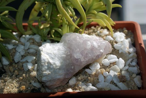 Cuarzo (variedad amatista)
(Autor: Juan C. Agua)