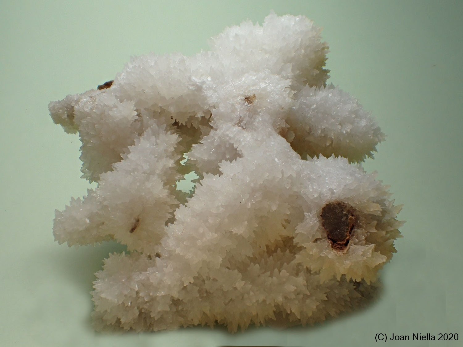 Calcita
7 x 7 cm
(Autor: Joan Niella)