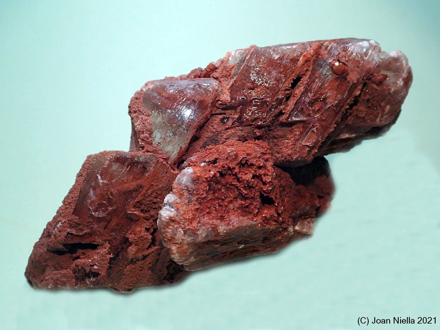 Yeso
120x60 mm
(Autor: Joan Niella)