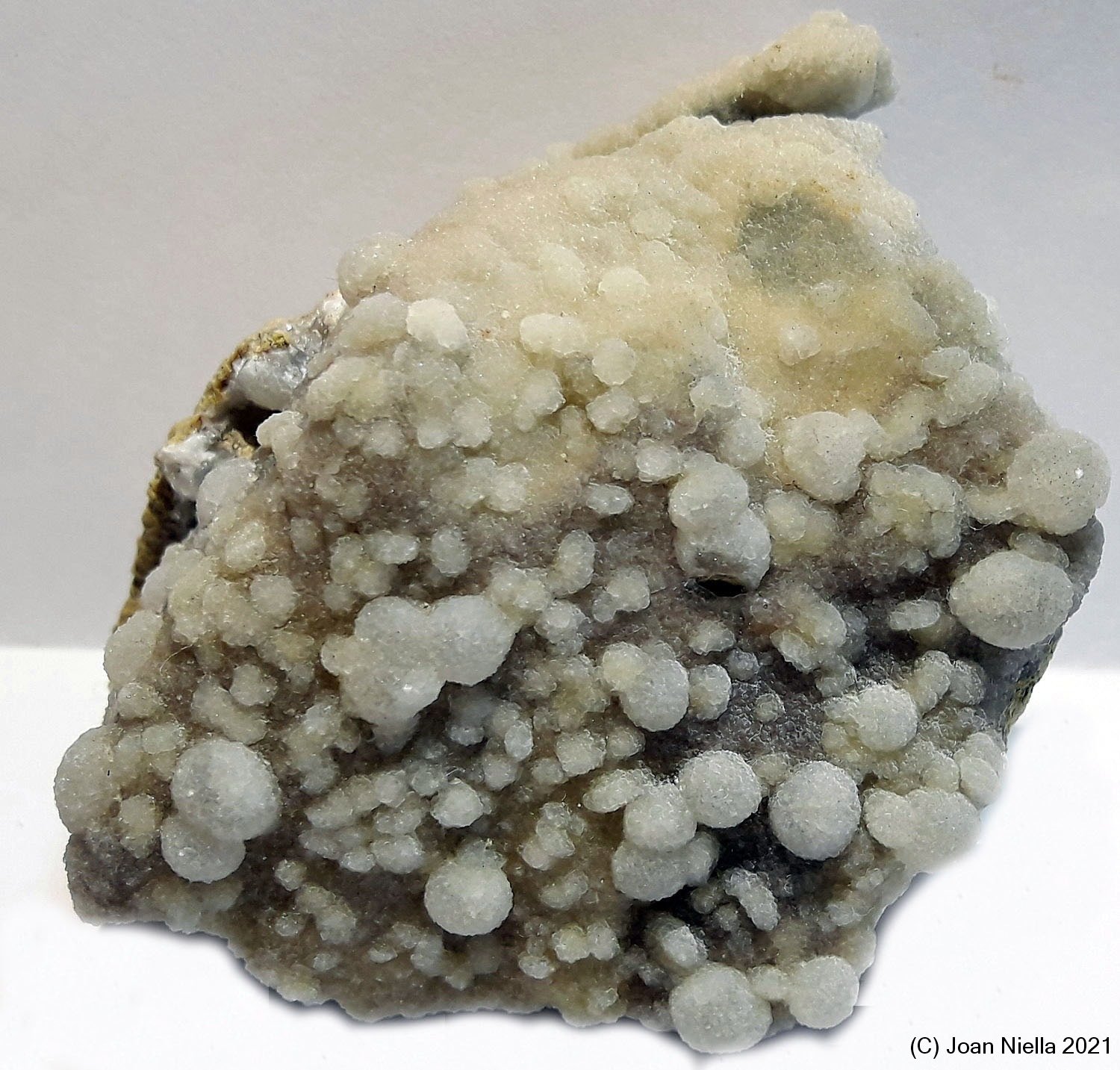 Clinoptilolita
60x50 mm
(Autor: Joan Niella)