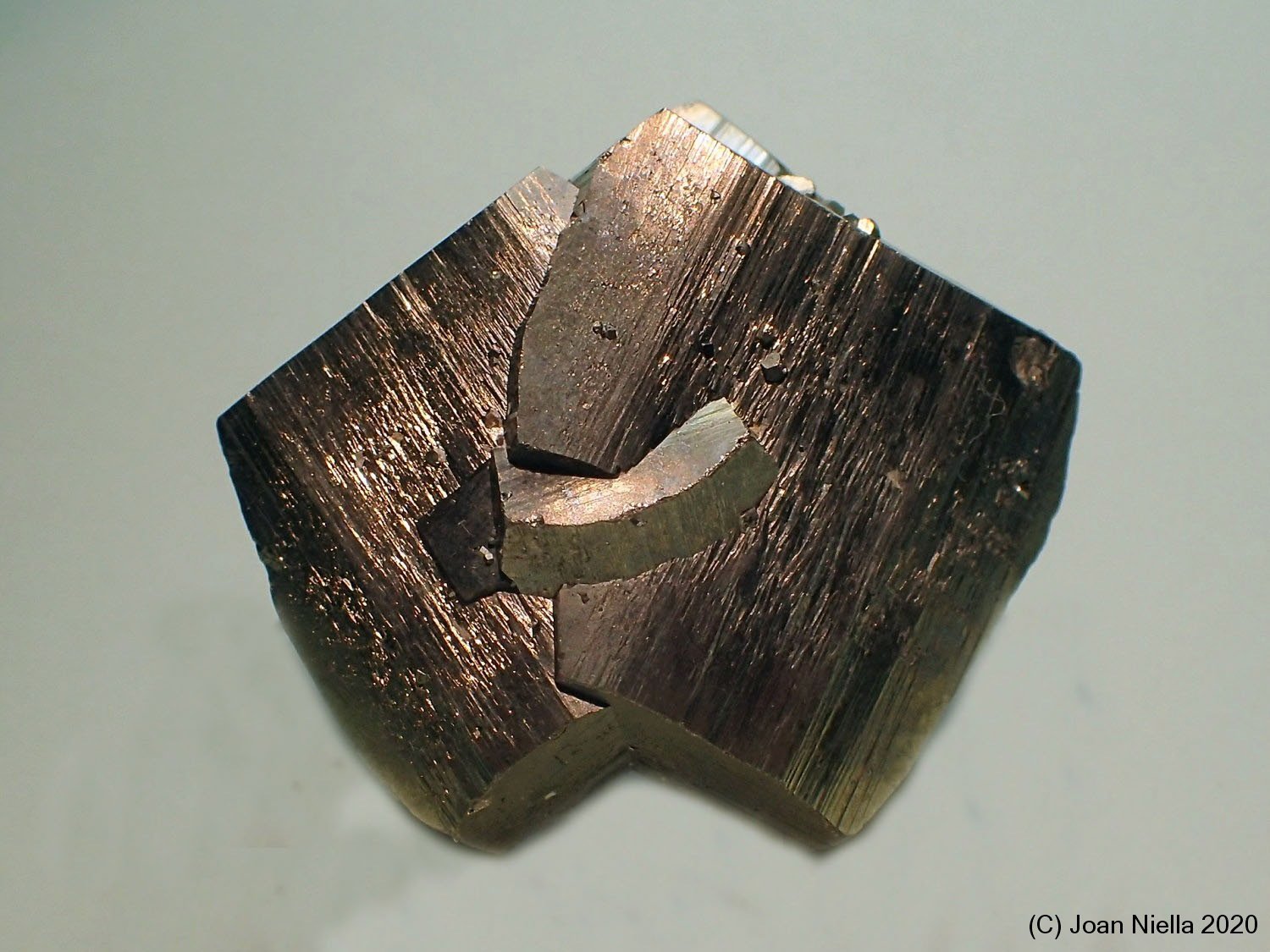 Pirita
45x45 mm
(Autor: Joan Niella)