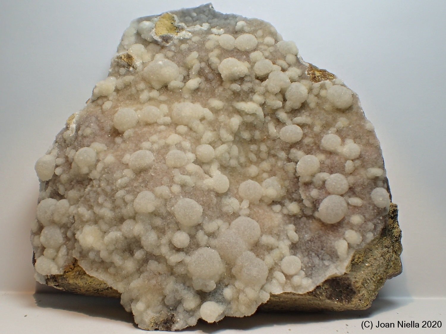 Clinoptilolita
9 x 8 cm
(Autor: Joan Niella)