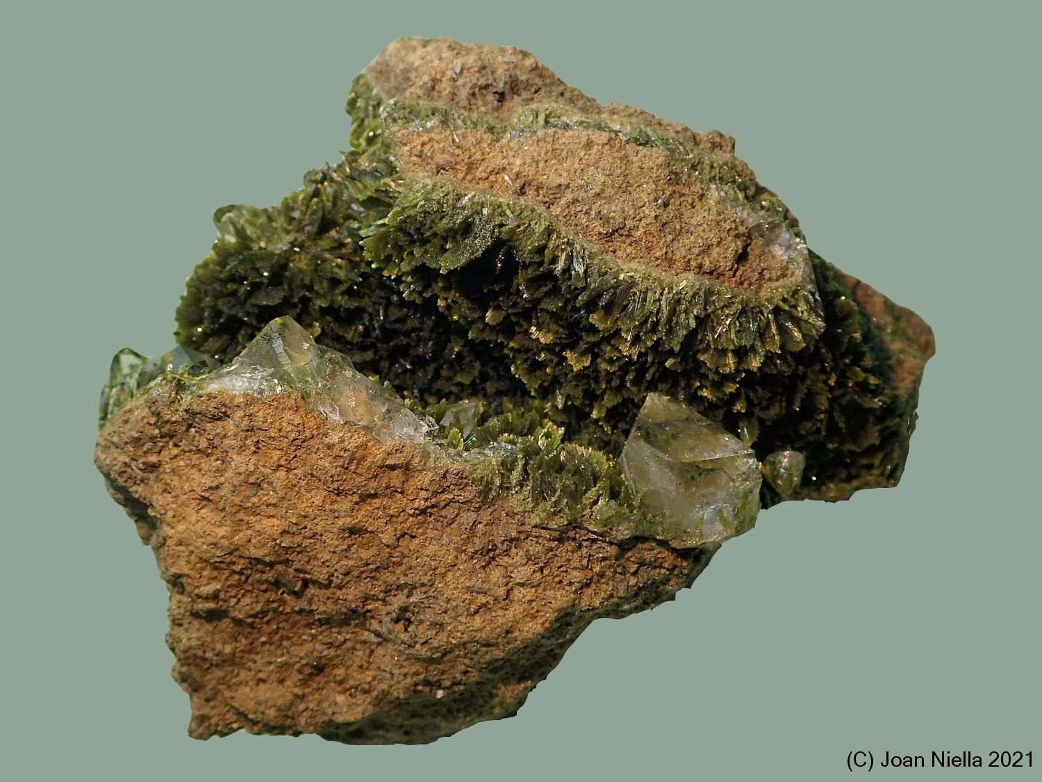 Epidota
75x70 mm
(Autor: Joan Niella)