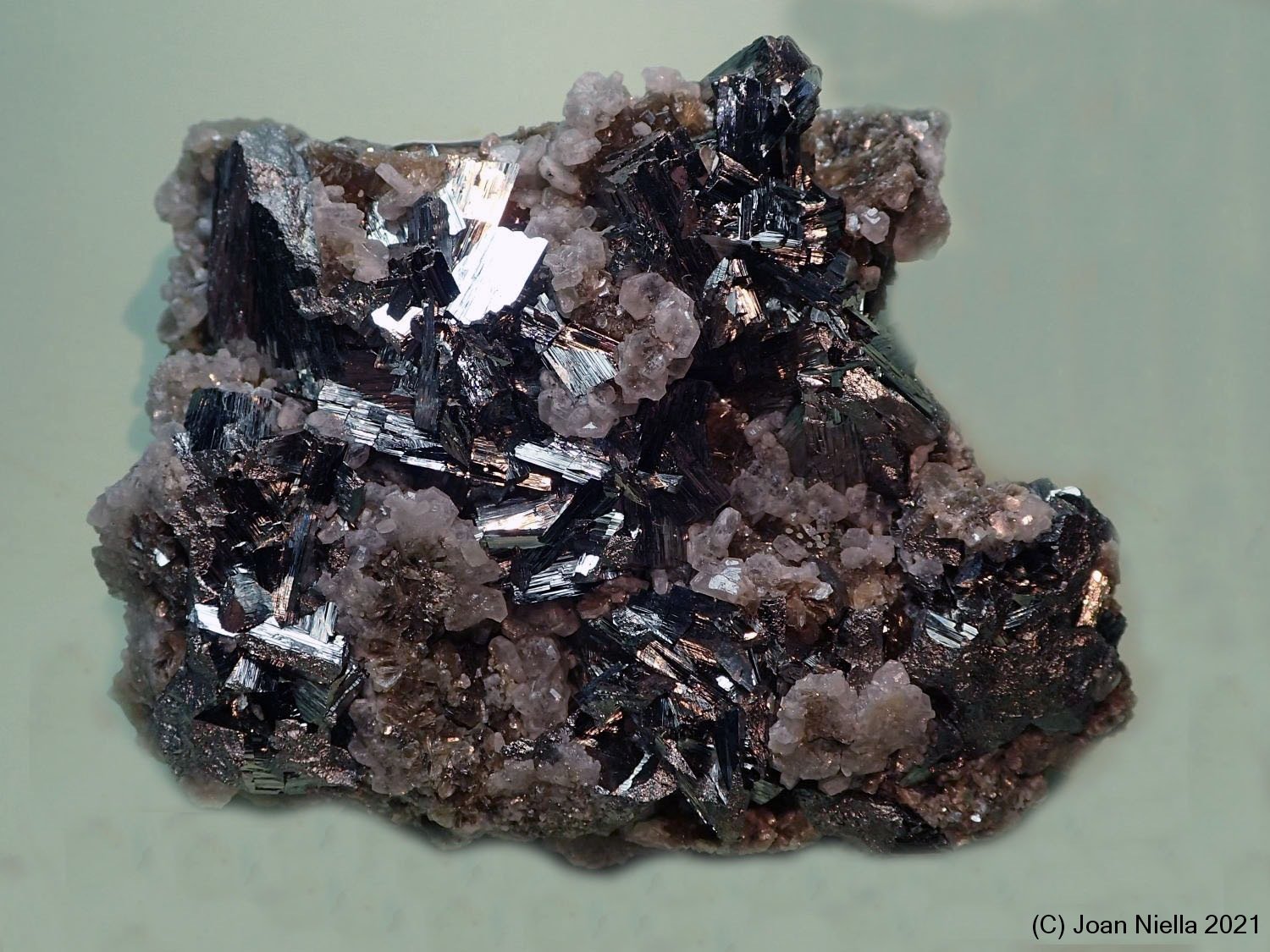 Arsenopirita
85x70 mm
(Autor: Joan Niella)