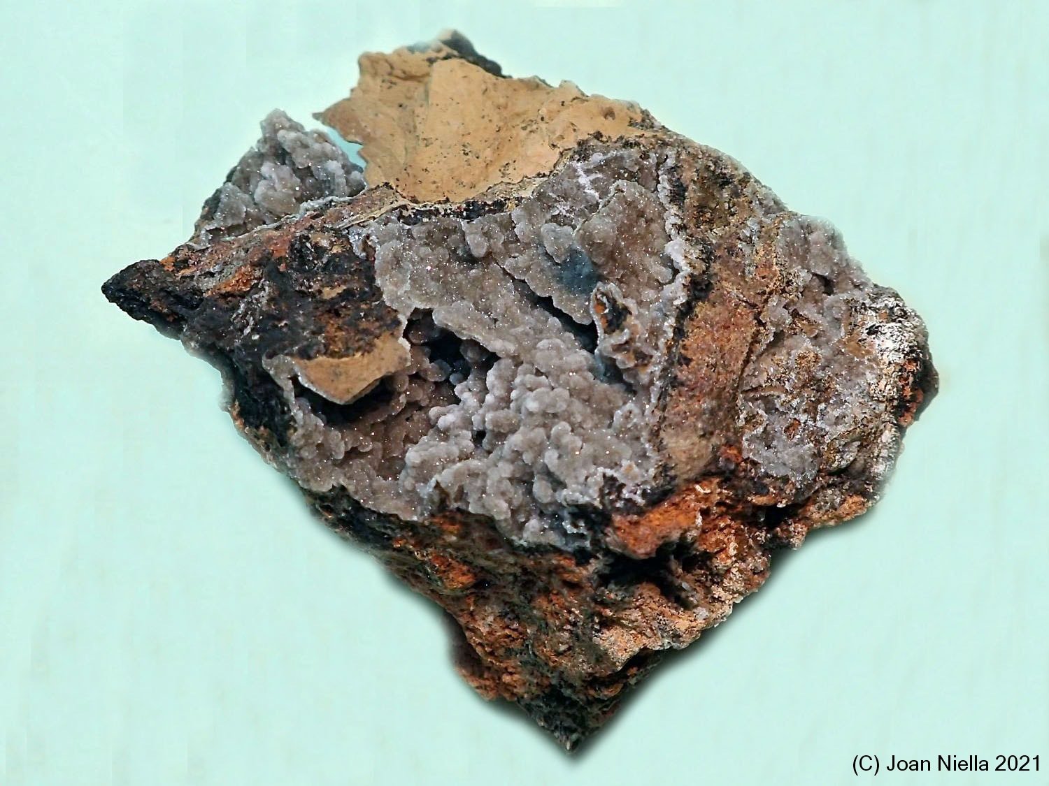 Hemimorfita
50x35 mm
(Autor: Joan Niella)