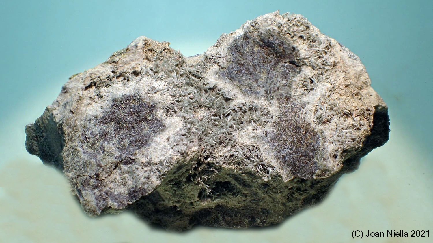 Actinolita
60x35 mm
(Autor: Joan Niella)