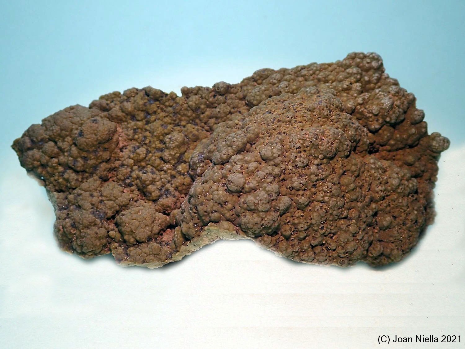 Arsendescloizita
95x40 mm
(Autor: Joan Niella)