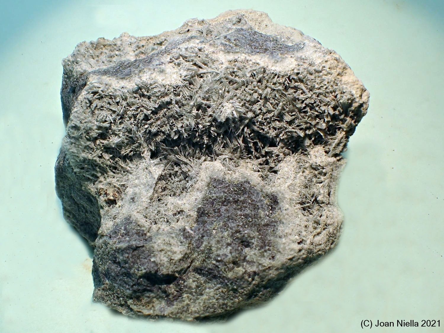 Actinolita
45x45 mm
(Autor: Joan Niella)