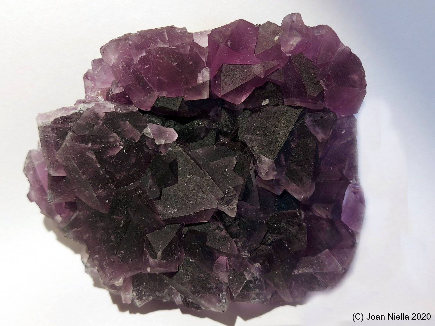 Fluorita
105x80 mm
(Autor: Joan Niella)