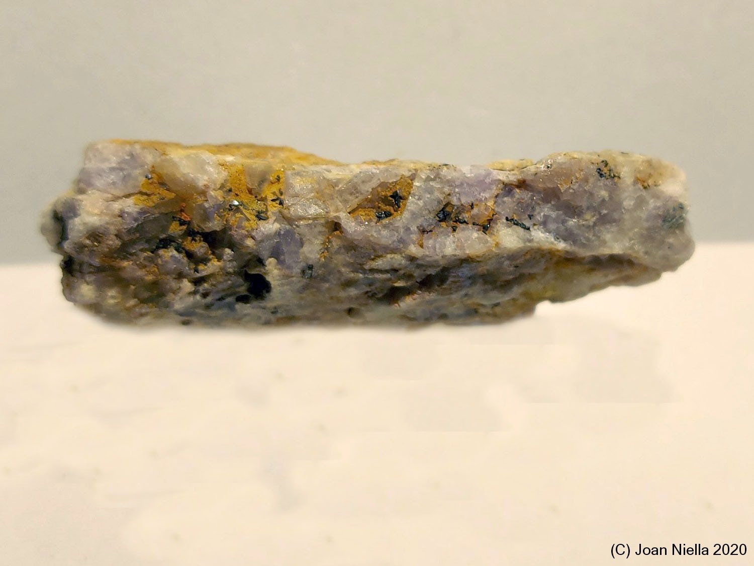 Cechita
60x18 mm
(Autor: Joan Niella)