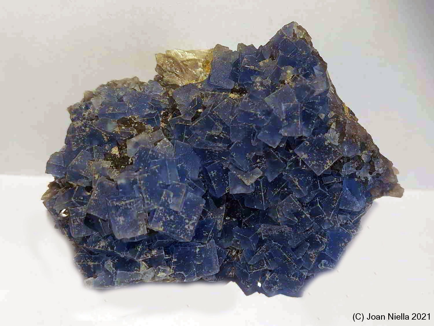 Fluorita
85x65 mm
(Autor: Joan Niella)
