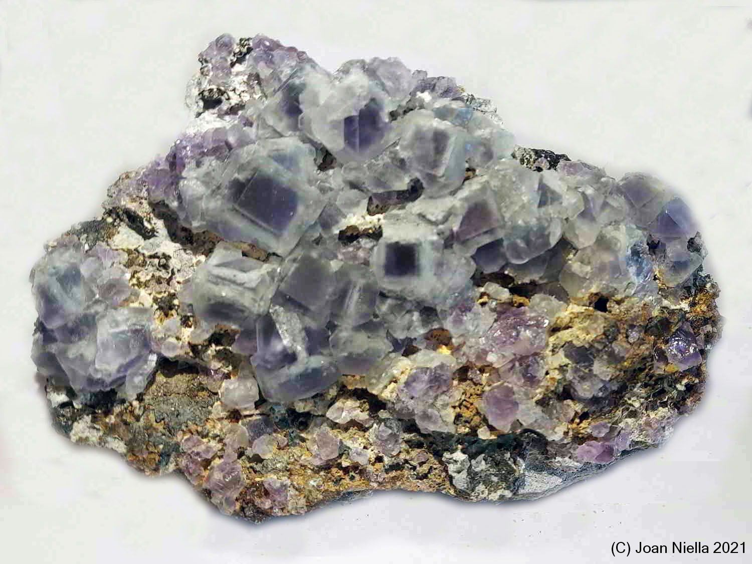 Fluorita
120x80 mm
(Autor: Joan Niella)