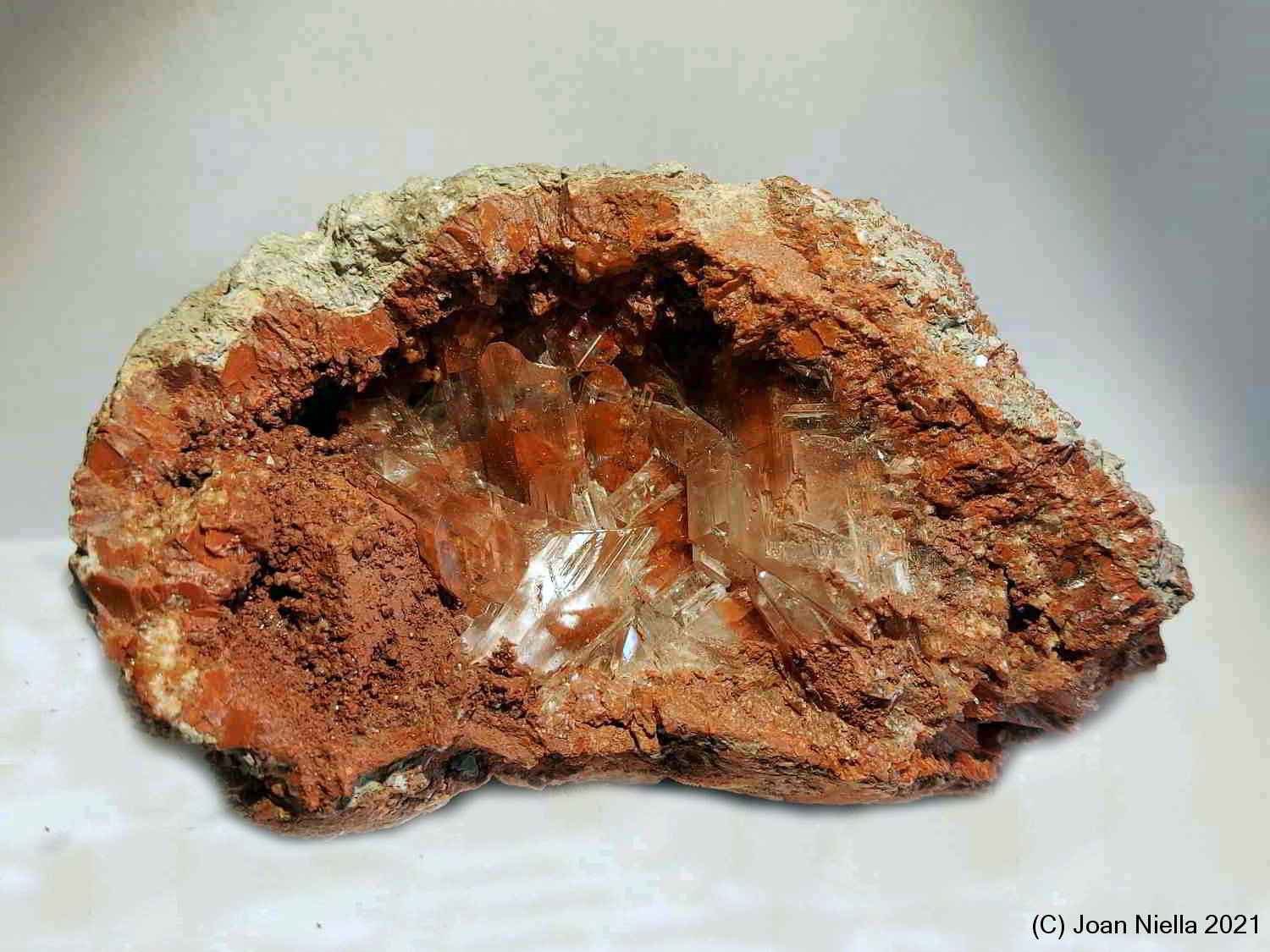 Yeso
115 x 70 mm
(Autor: Joan Niella)