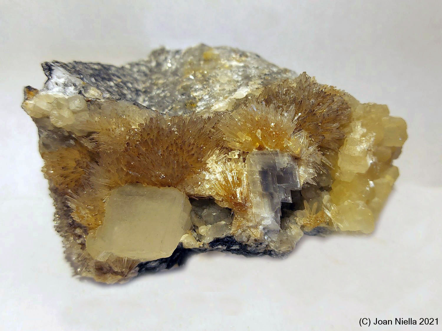 Aragonito
80 x 50 mm
(Autor: Joan Niella)