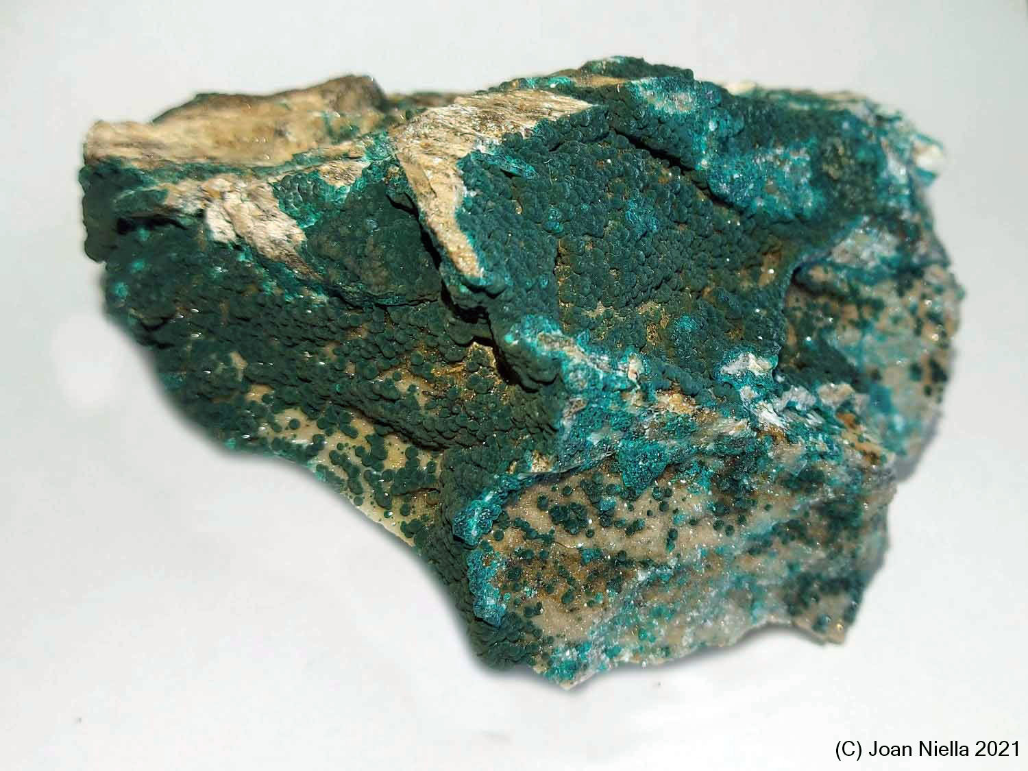 Pseudomalaquita
100 x 75 mm
(Autor: Joan Niella)
