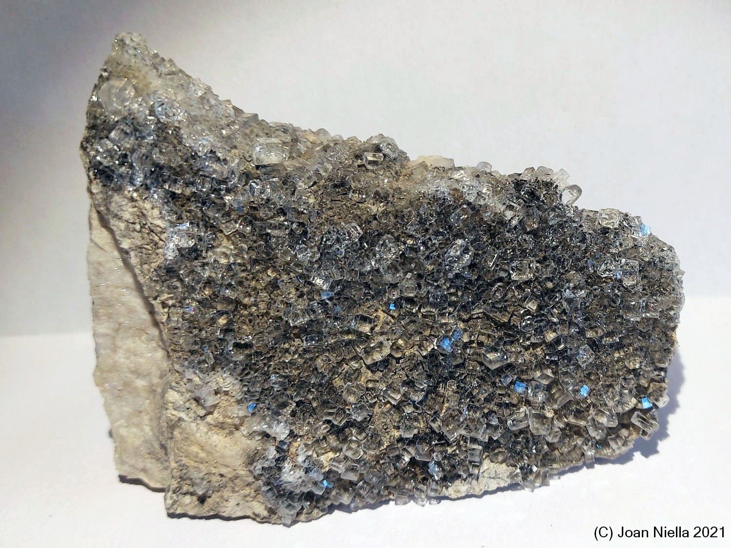 Fluorita
85 x 70 mm
(Autor: Joan Niella)