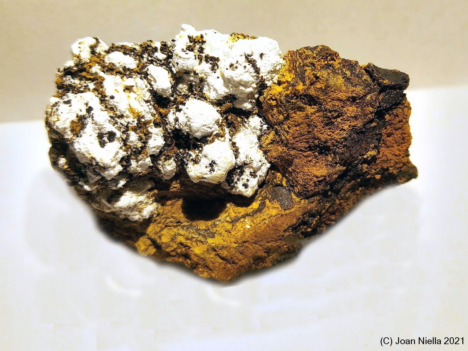 Alumohidrocalcita
60 x 40 mm
(Autor: Joan Niella)