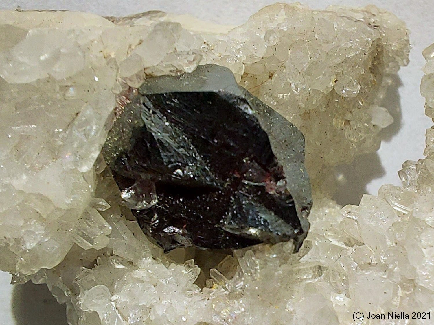 Cinabrio
CV 17 mm
(Autor: Joan Niella)