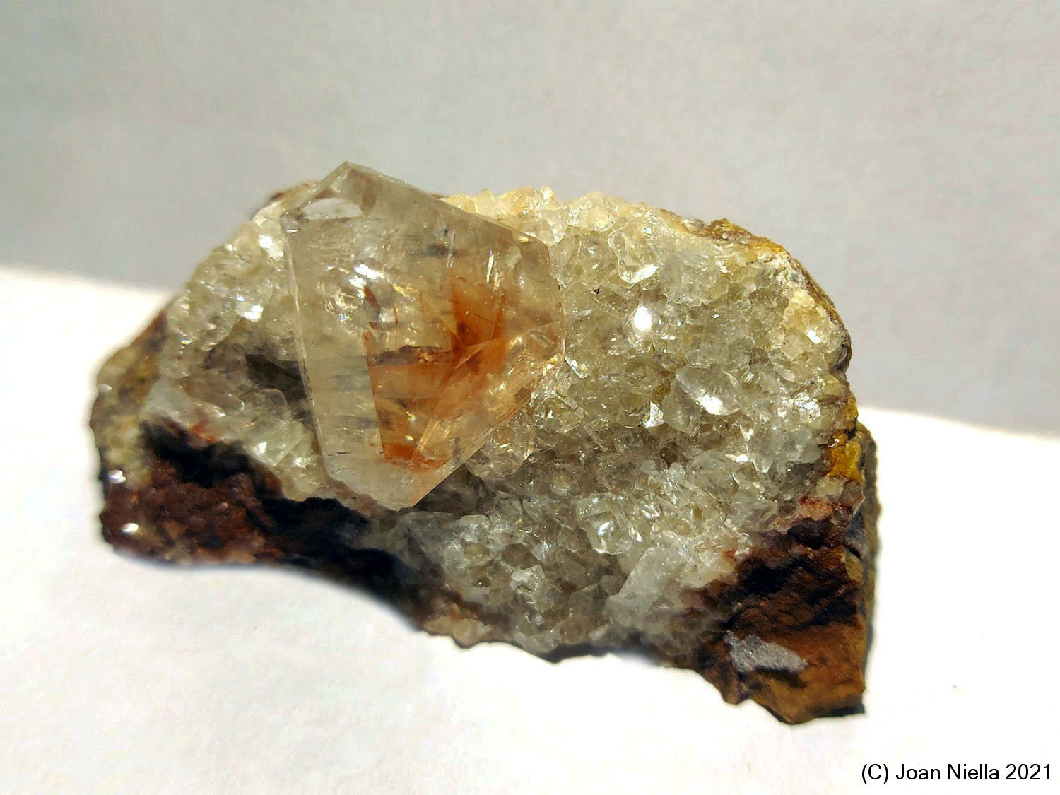 Calcita
65 x 35 mm
(Autor: Joan Niella)