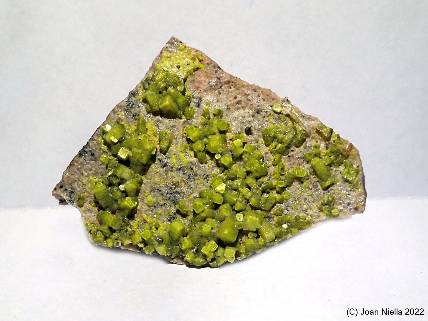 Autunita
33 x 30 mm
(Autor: Joan Niella)