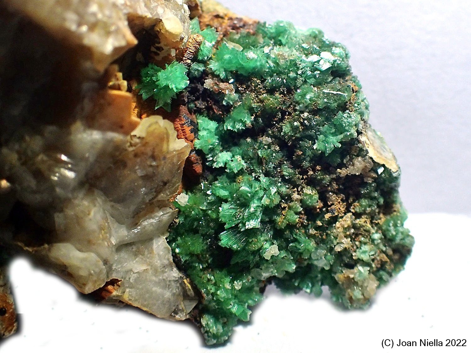Annabergita
40 x 21 mm
(Autor: Joan Niella)