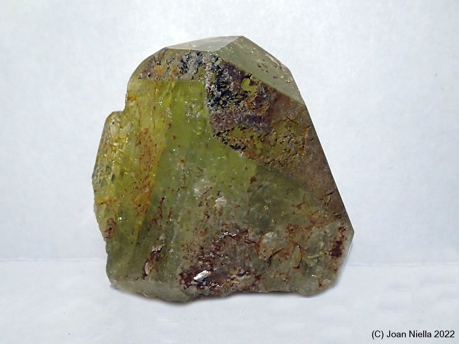 Brazilianita
25 x 25 mm
(Autor: Joan Niella)