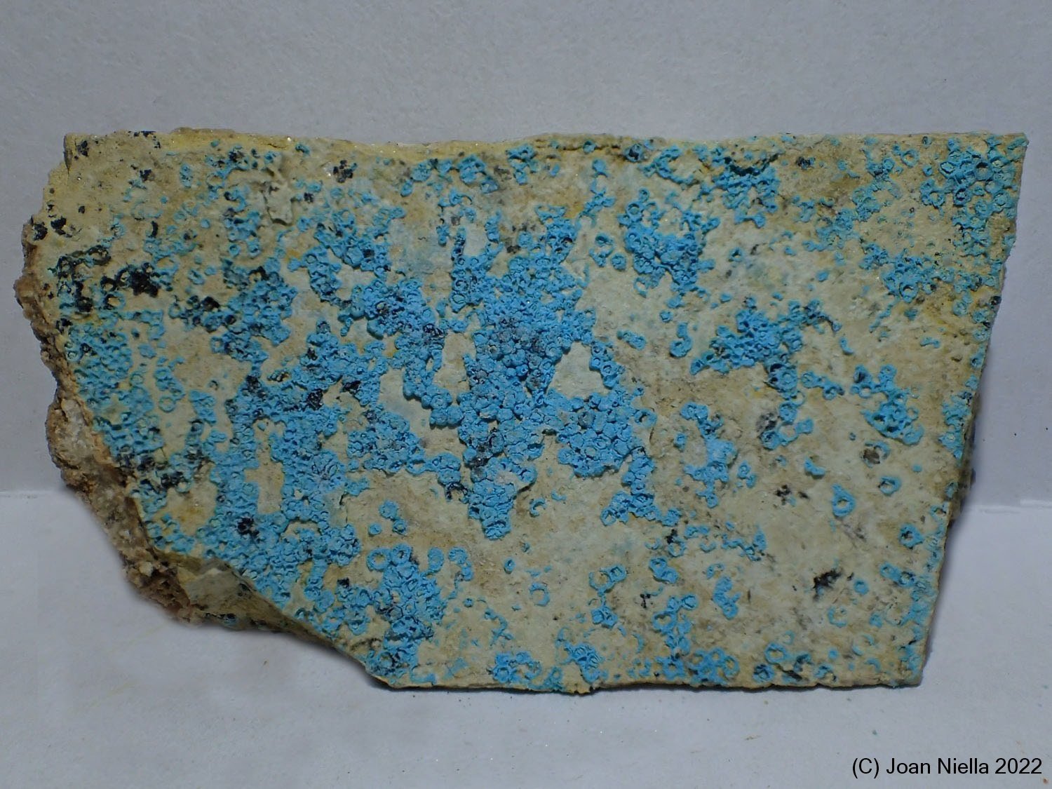Decrespignyita-(Y)
43 x 24 mm
(Autor: Joan Niella)
