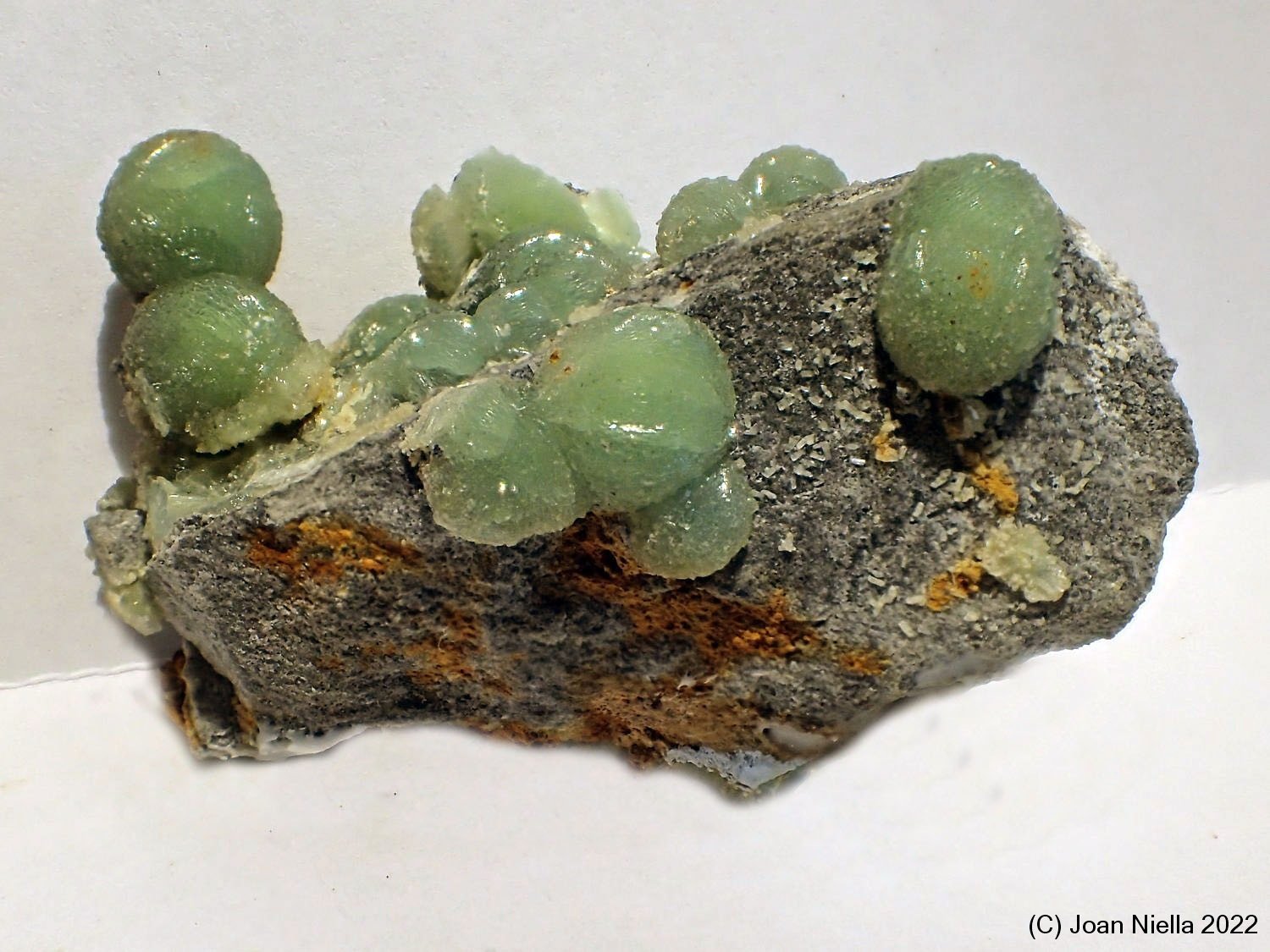 Wavellita
40 x 30 mm
(Autor: Joan Niella)