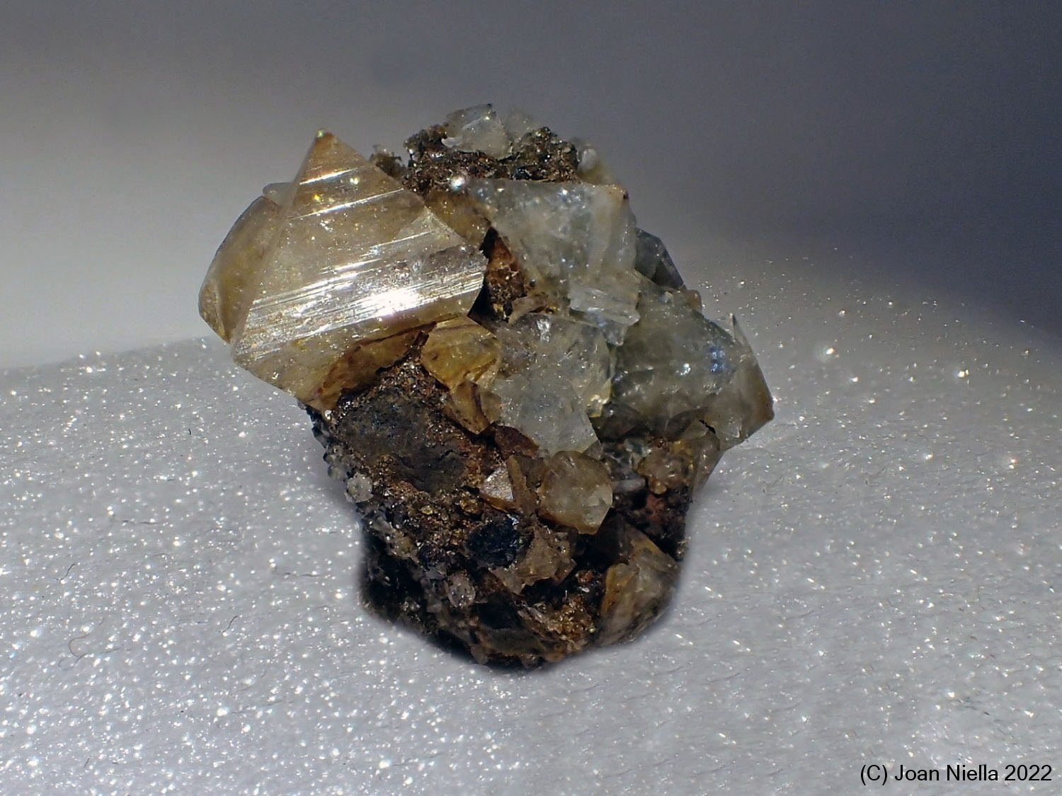 Wardita
15 x 15 mm
(Autor: Joan Niella)