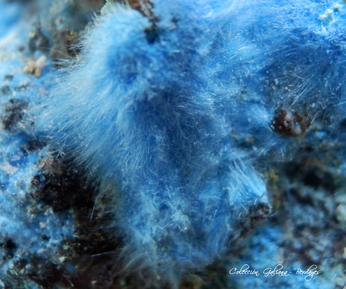 Carbonatocyanotrichita
Encuadre de la fotografía 11 mm
(Autor: Rafael Galiana)