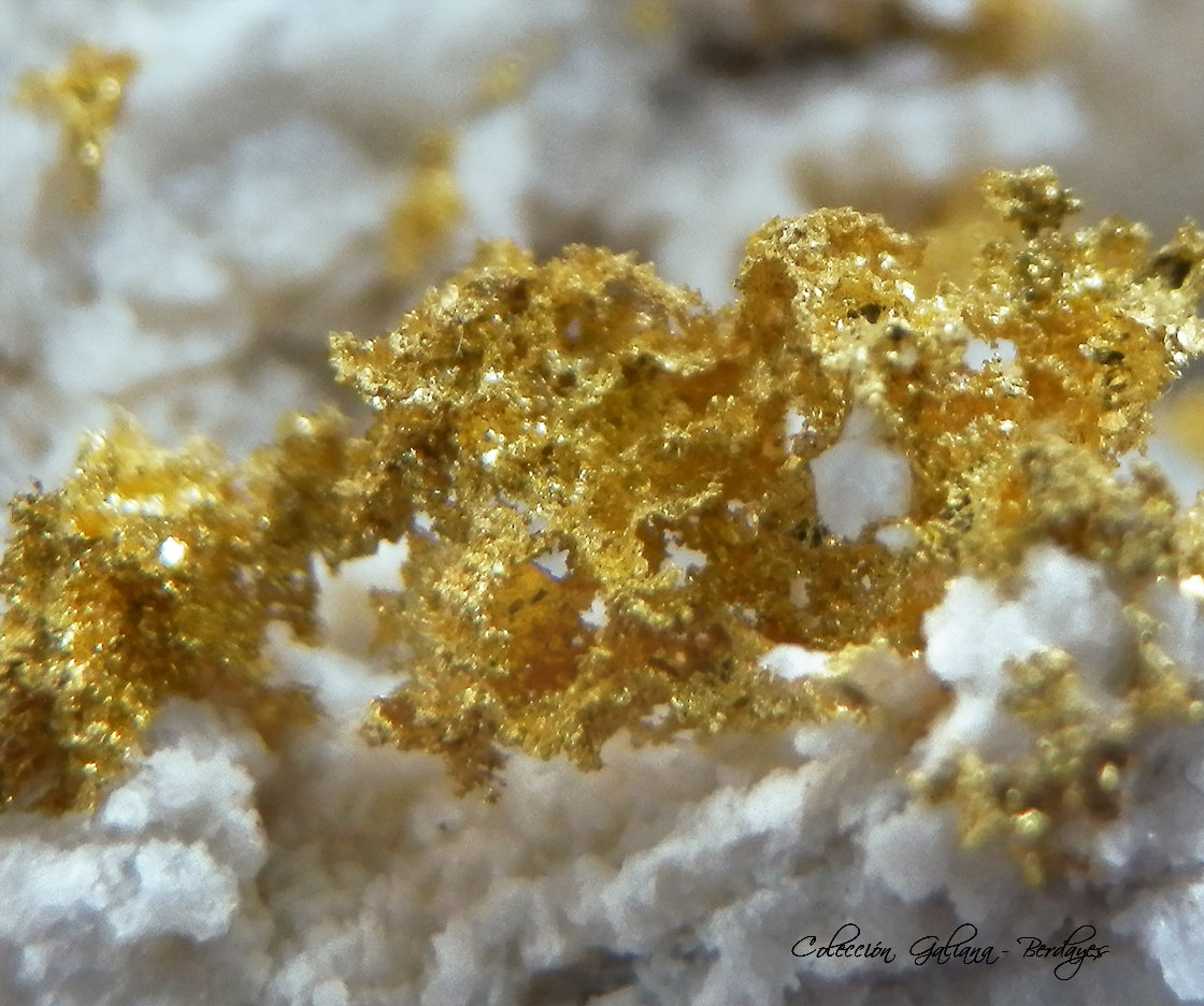 Oro
Encuadre de la fotografía 6 mm.
(Autor: Rafael Galiana)