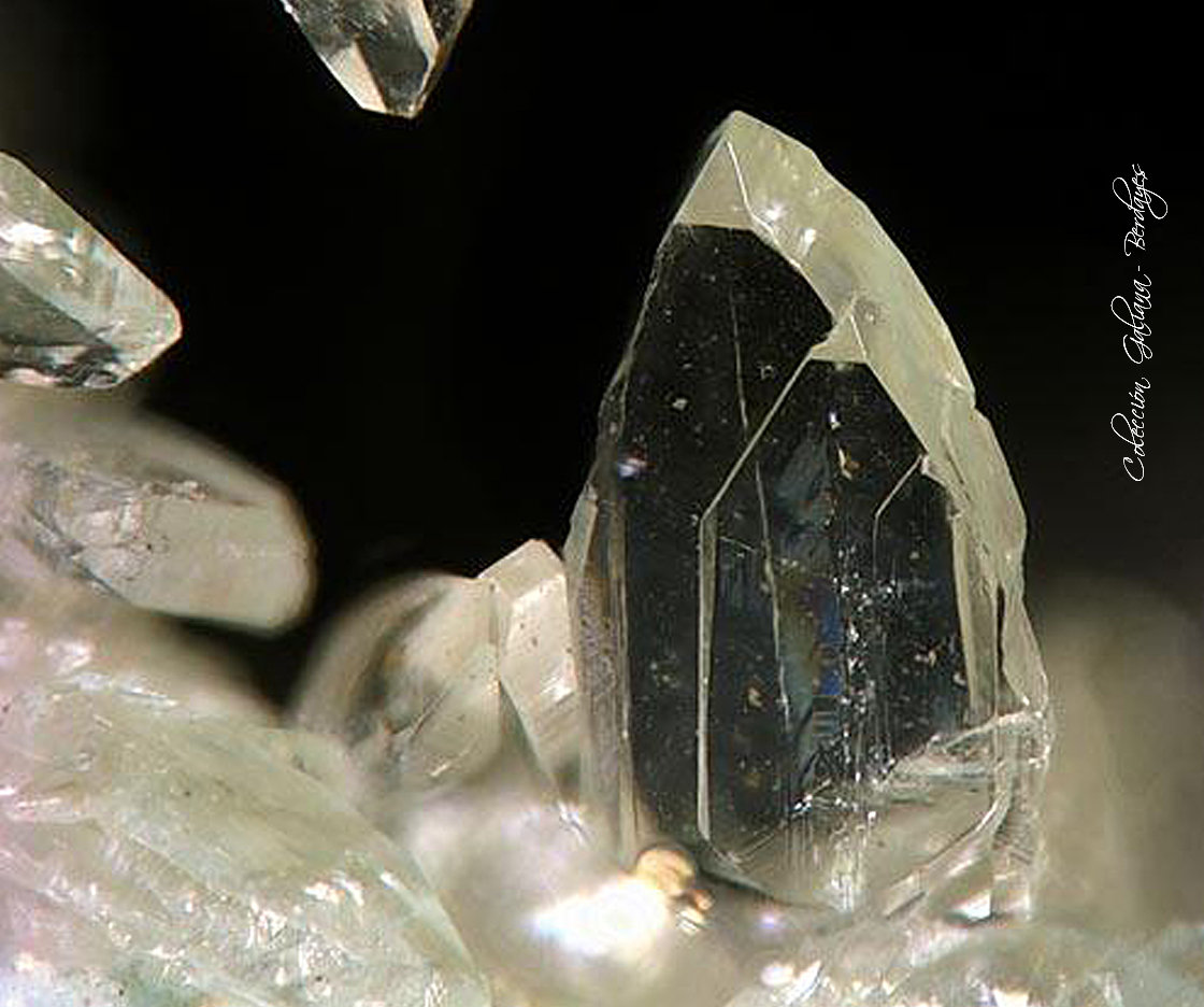 Senegalita
Encuadre de la fotografía 3 mm.
(Autor: Rafael Galiana)