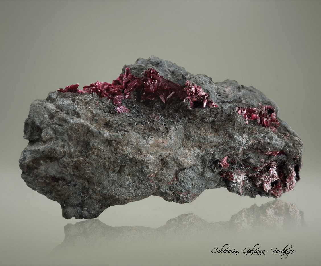 Eritrina
115 x 65 x 60 mm.
(Autor: Rafael Galiana)
