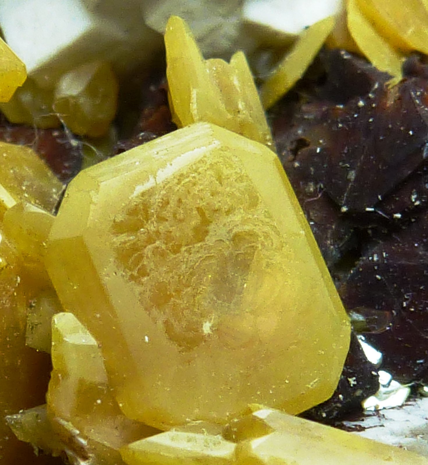 Wulfenita
0,8 x 0,4 cm. el cristal
(Autor: javier ruiz martin)