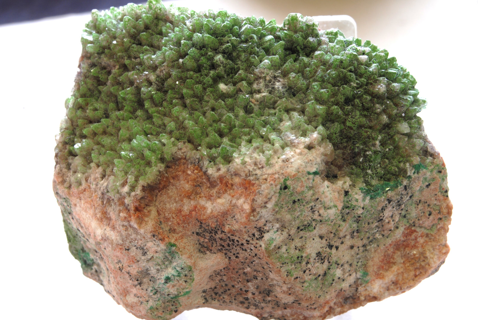 Mottramita
Medidas pieza: 9x7x5,5 cm
(Autor: Sergio Pequeño)