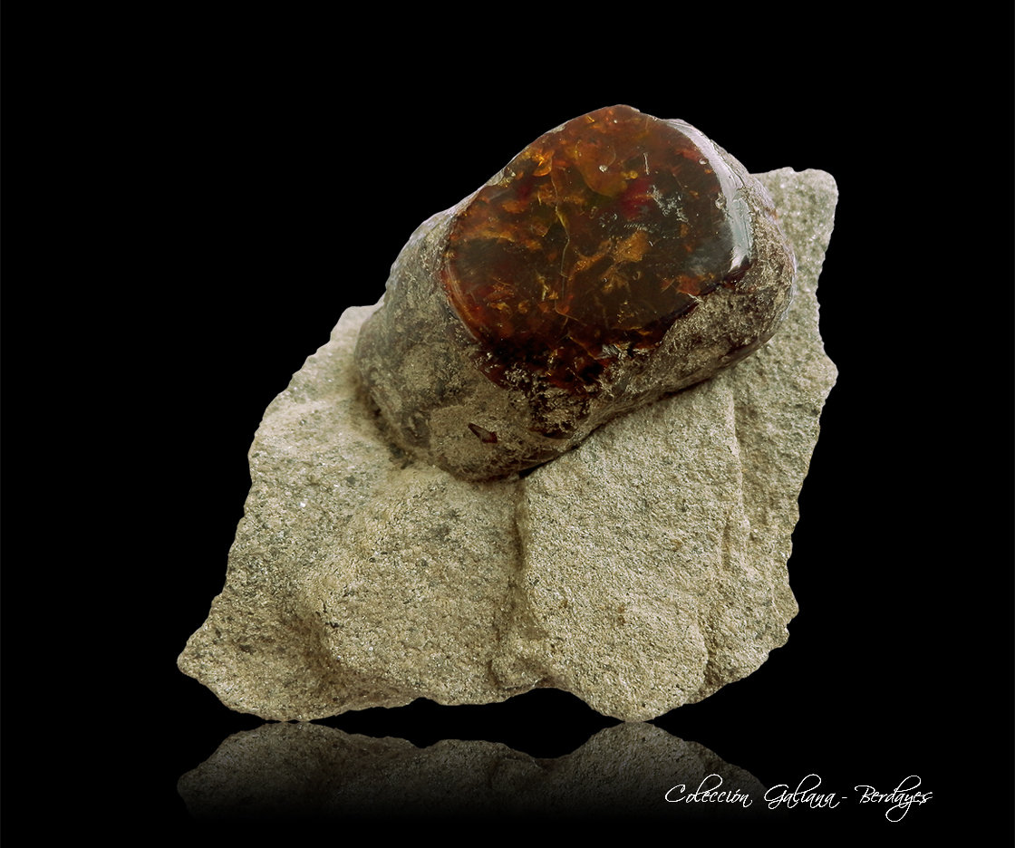 Ambar
61 x 60 x 38 mm.
(Autor: Rafael Galiana)