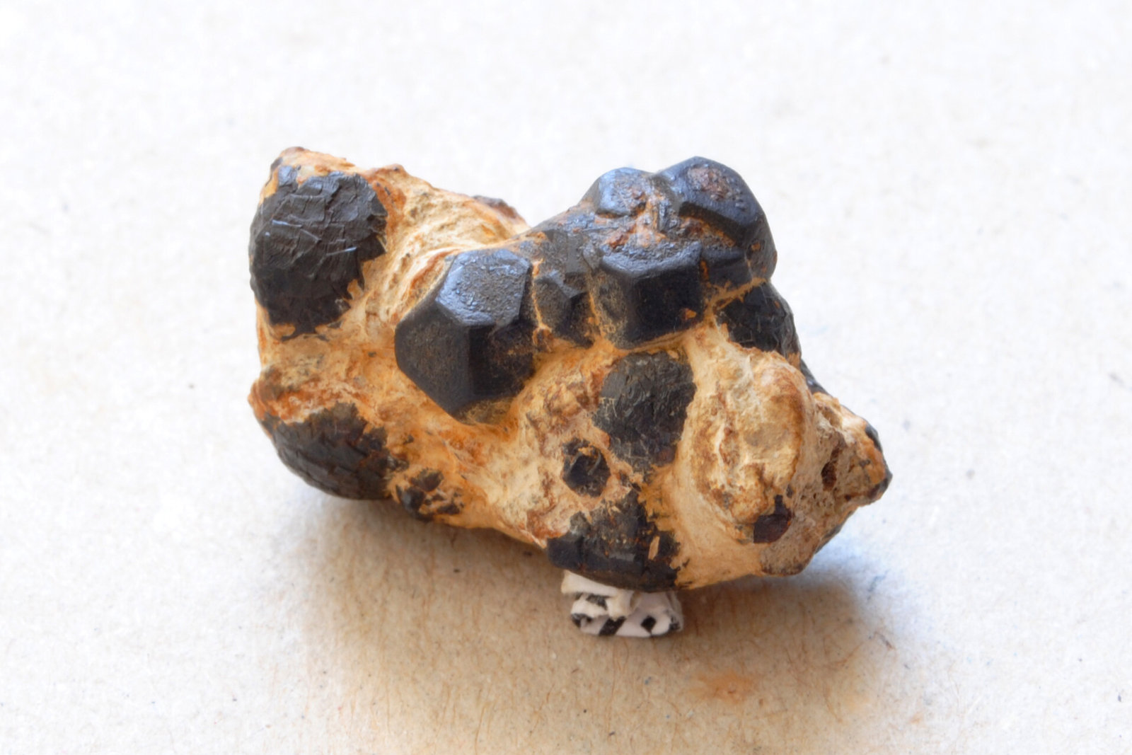 Goethita pseudomórfica de Pirita
Medidas pieza: 2,5x1,7x1,2 cm
(Autor: Sergio Pequeño)