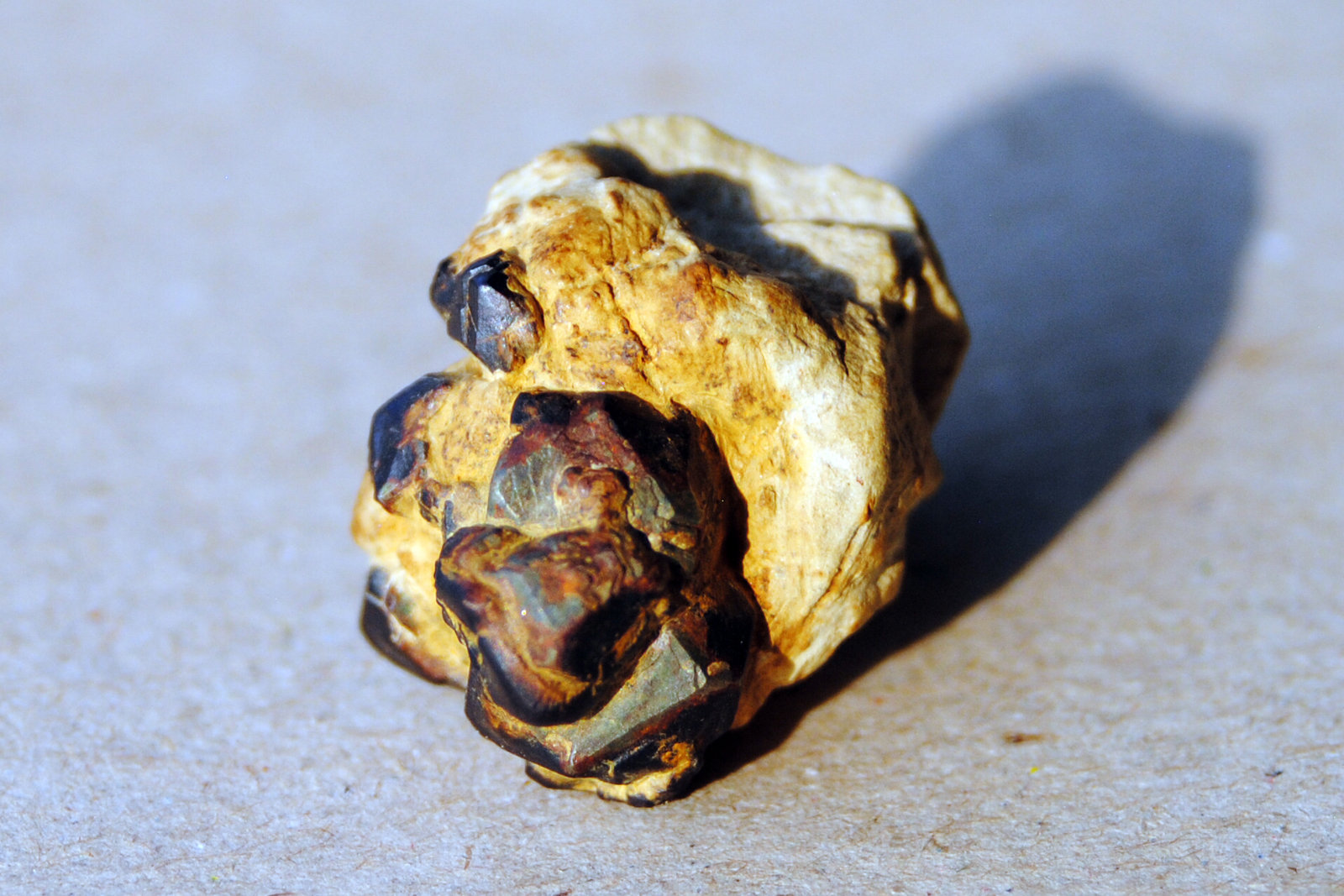 Goethita pseudomórfica de Pirita
Medidas pieza: 2,2x1,7x1,6 cm
(Autor: Sergio Pequeño)