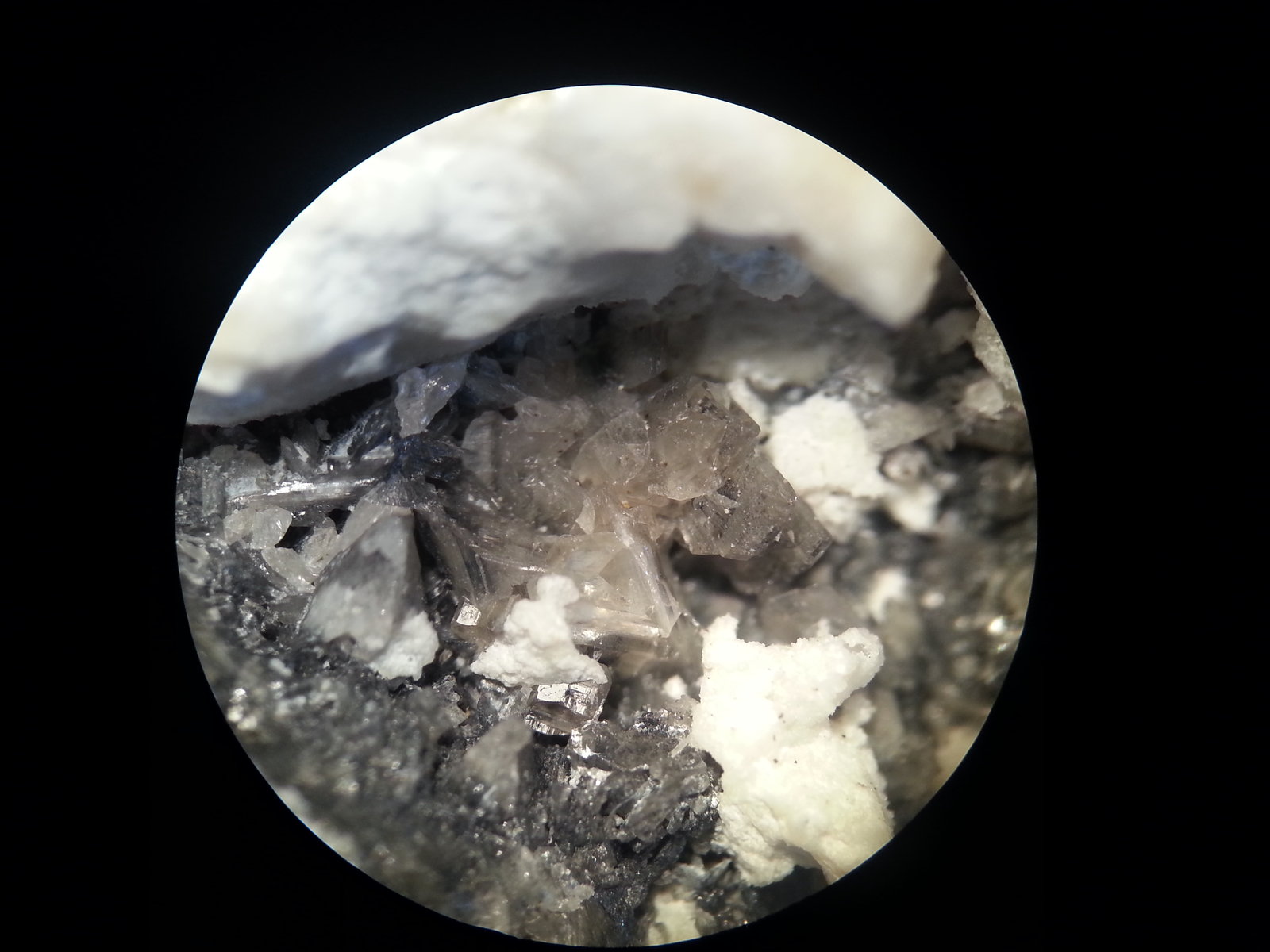 Cerusita
macro x 20 aumentos
(Autor: Javier Rodriguez)