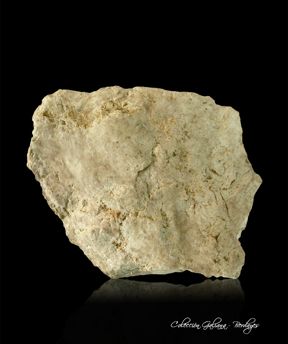 Sepiolita
82 x 65 x 33 mm.
(Autor: Rafael Galiana)