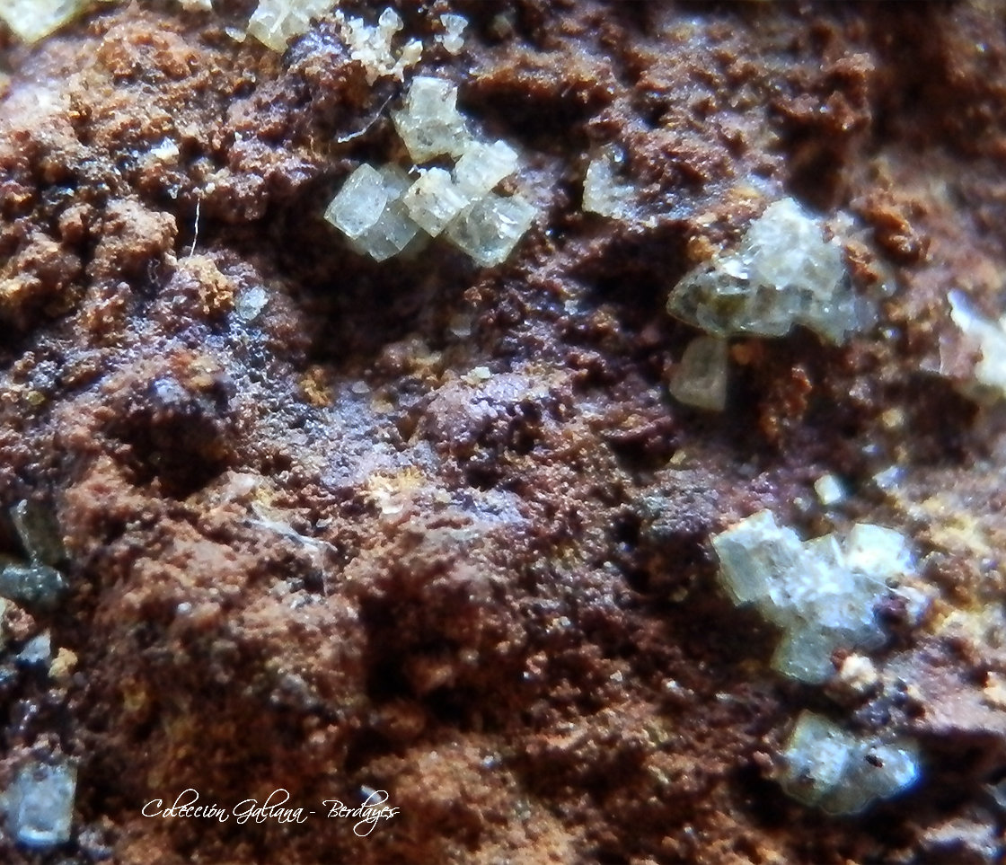 Natrofarmacoalumita
Encuadre 5 mm.
(Autor: Rafael Galiana)