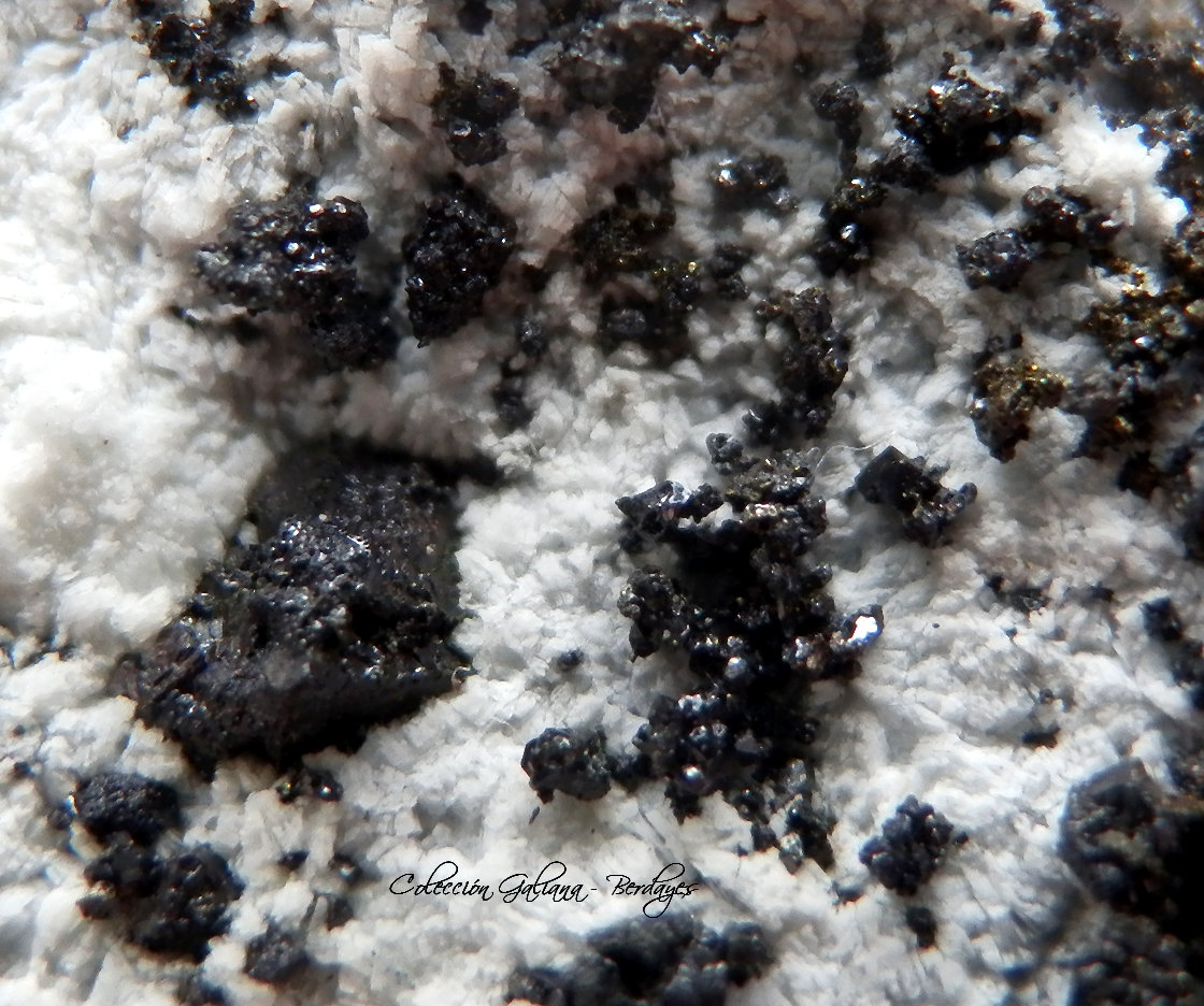 Villamanínita
Encuadre 6 x 6 mm.
(Autor: Rafael Galiana)
