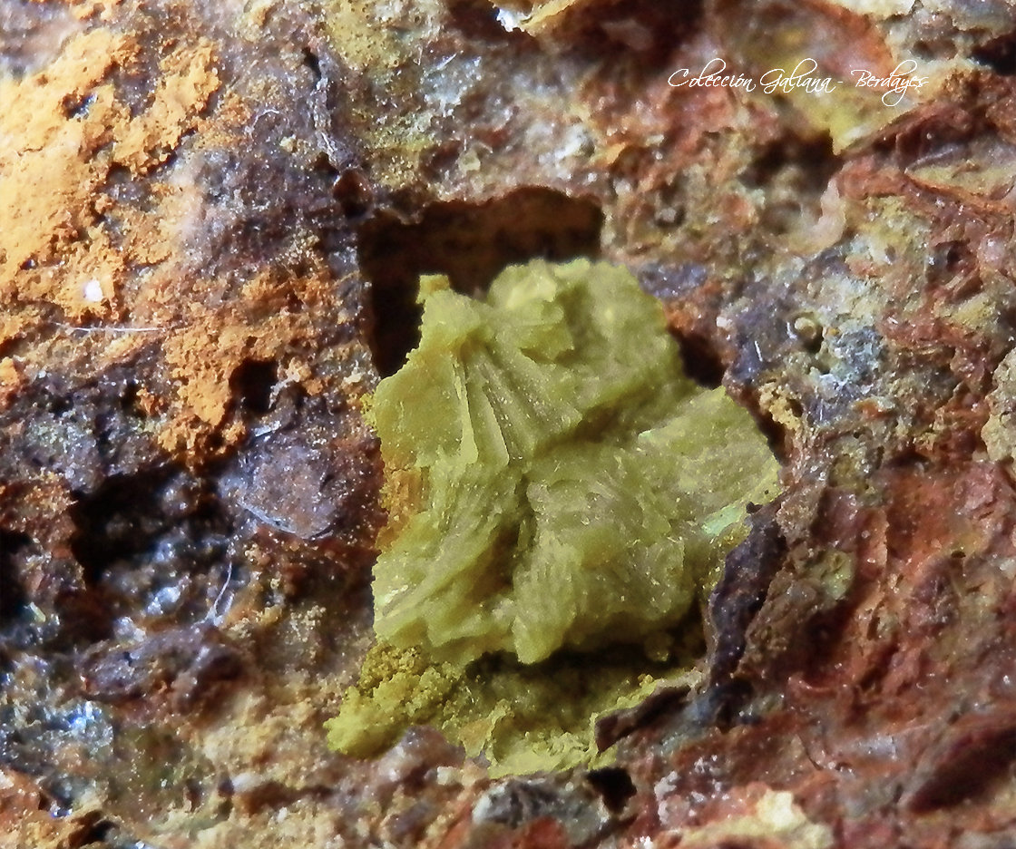 Calcioferrita
Encuadre 8 x 8 mm.
(Autor: Rafael Galiana)