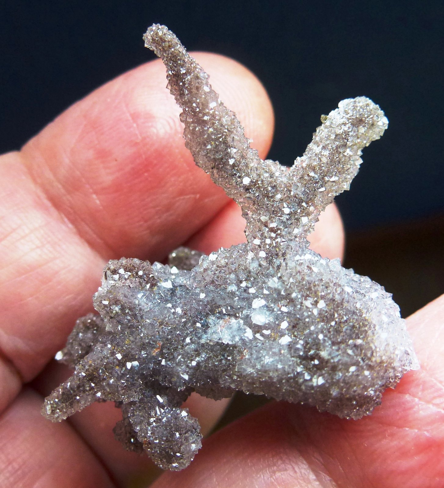 Cuarzo (variedad amatista)
3,5  x 3 cm.
(Autor: javier ruiz martin)