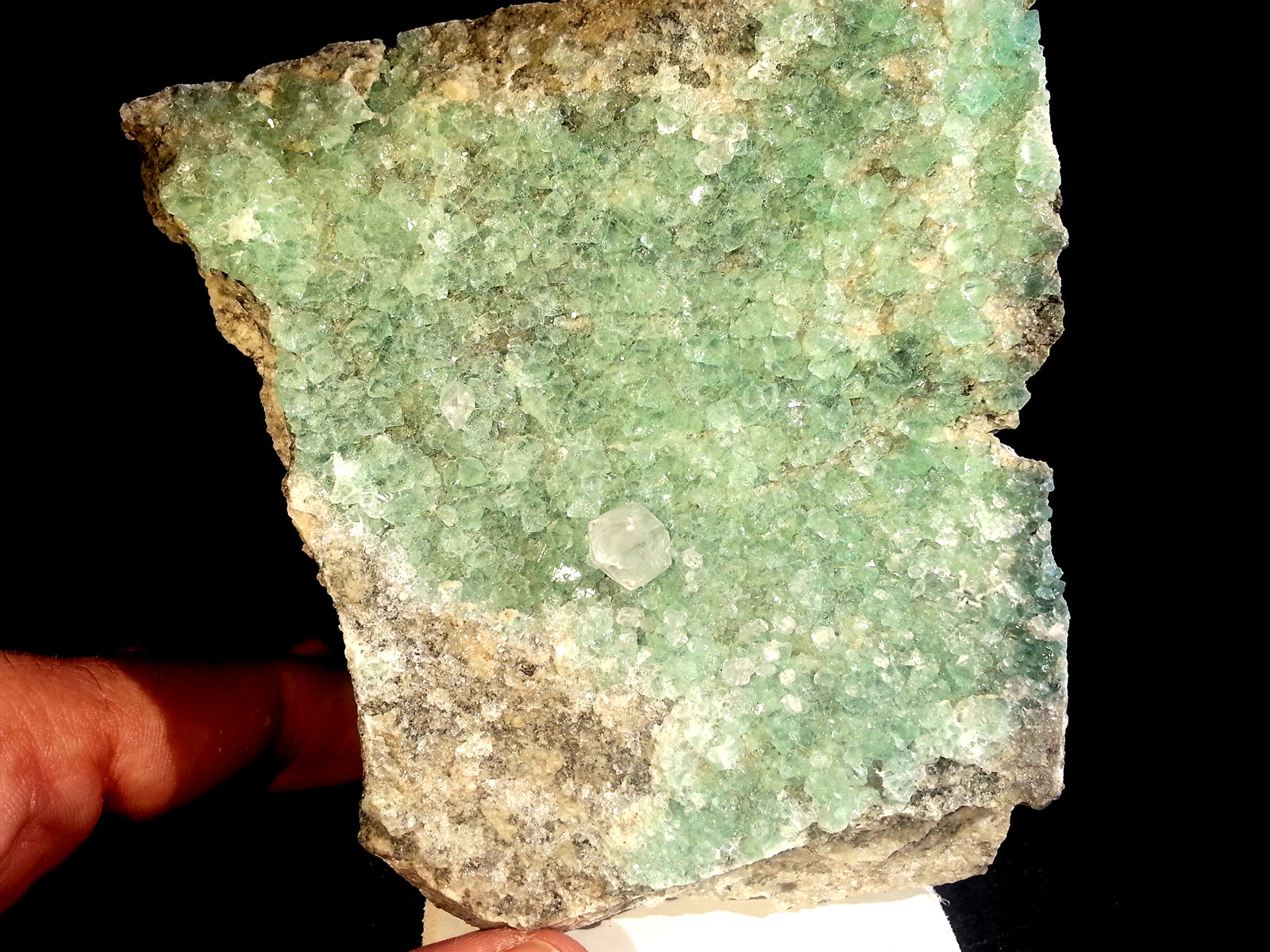 Fluorita, Calcita
7,5 x 11 x 3 cm
(Autor: Javier Rodriguez)