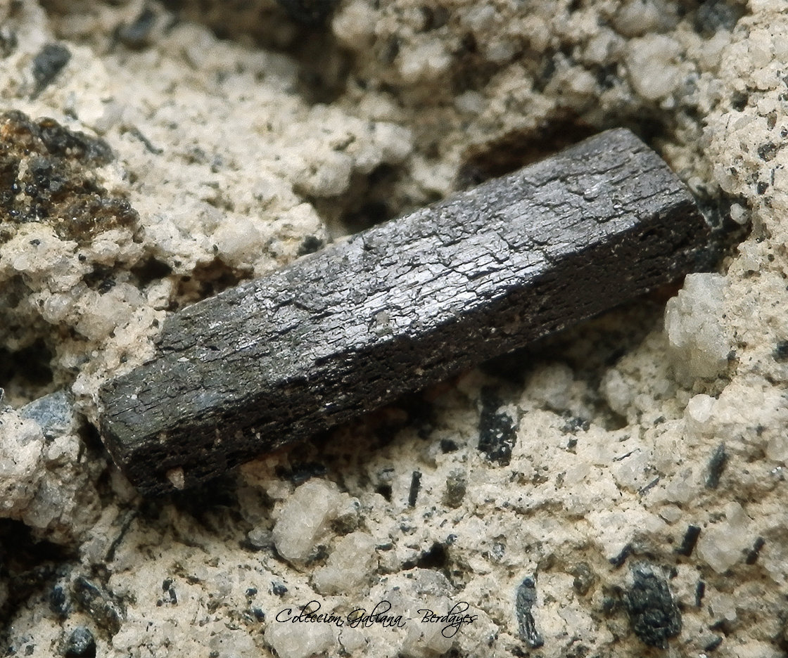 Ferro-hornblenda
Encuadre 22 mm.
(Autor: Rafael Galiana)