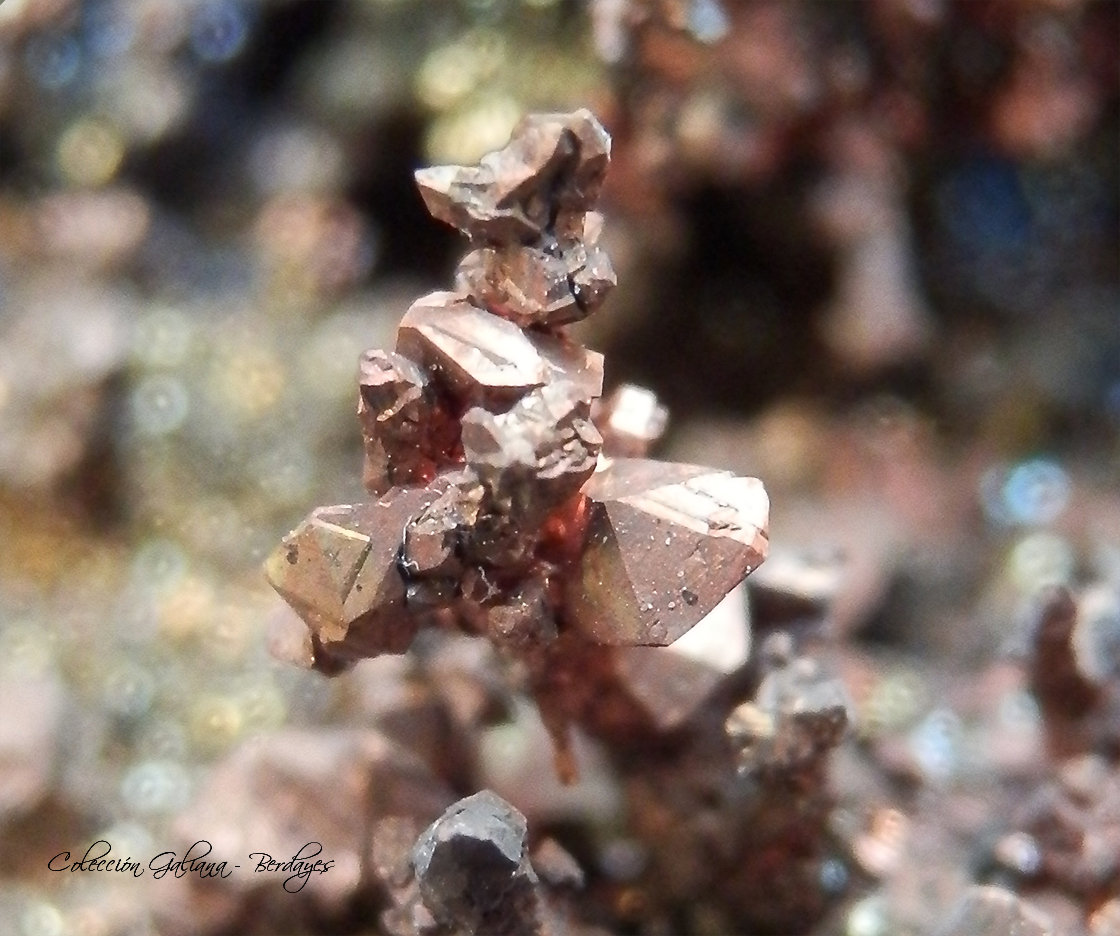 Cobre
Encuadre 6 x 6 mm.
(Autor: Rafael Galiana)