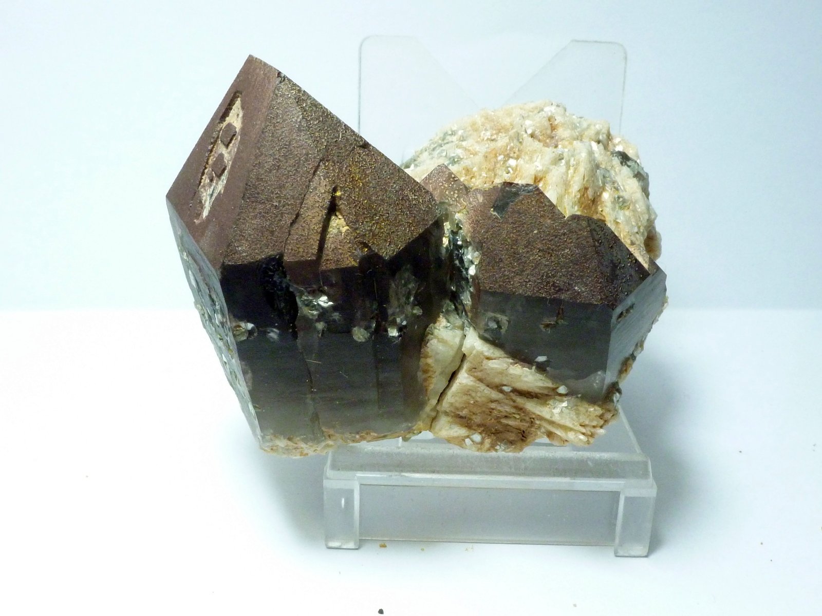 Cuarzo (variedad ahumado) y Albita
Medida: 6,5x5,5x4,5 cm
(Autor: Sergio Pequeño)