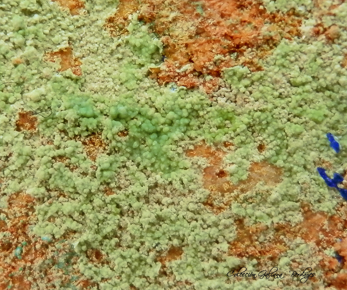 Zincolivenita
Encuadre 11 mm
(Autor: Rafael Galiana)